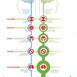 mindset_chart